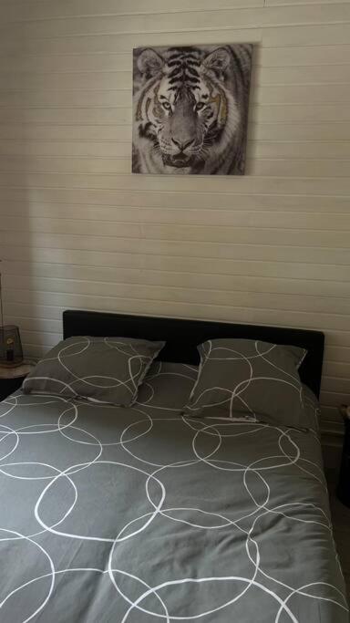 Magnifique Appartement T2 Le Barcarès Dış mekan fotoğraf